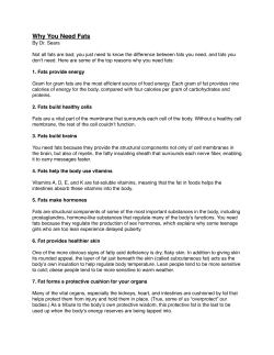 Fats Article/Word Search/Clues