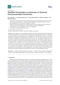 Modified Nucleotides as Substrates of Terminal Deoxynucleotidyl