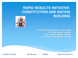 rapid results initiative constitution and nation building