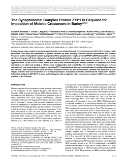 The Synaptonemal Complex Protein ZYP1 Is