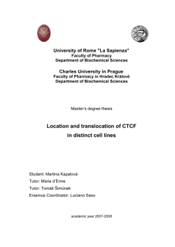 Location and translocation of CTCF in distinct cell lines