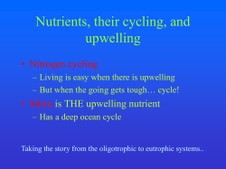 Upwelling nutrients and tracers