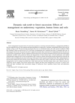 Dynamic oak-scrub to forest succession: Effects of management on