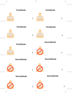 single movement