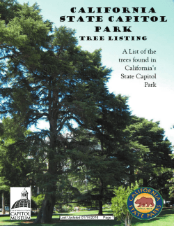Capitol Park Tree Tour - Sacramento Tree Foundation