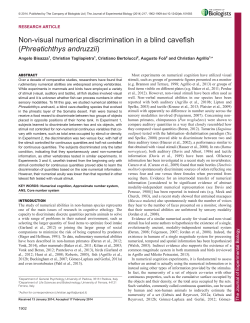 Non-visual numerical discrimination in a blind cavefish