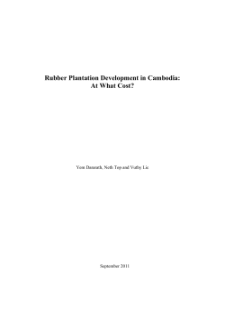 Rubber plantation development in Cambodia