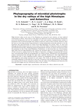 Phylogeography of microbial phototrophs in the dry