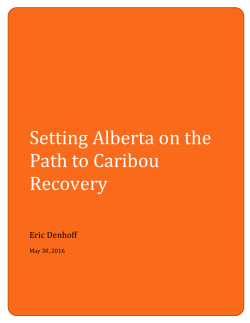 Setting Alberta On the Path to Caribou Recovery