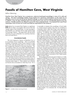 Fossils of Hamilton Cave, West Virginia