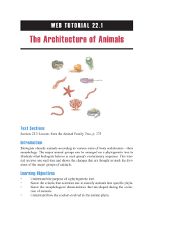 The Architecture of Animals