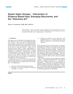 Equine Upper Airways