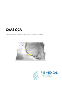 CAAS QCA - Pie Medical Imaging