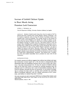 Increase of Labeled Calcium Uptake in Heart Muscle during