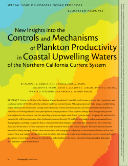 controls and Mechanisms of Plankton Productivity in coastal