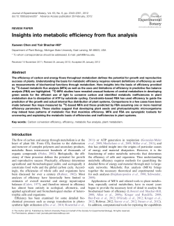 Insights into metabolic efficiency from flux analysis