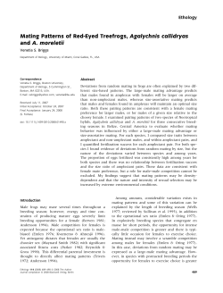 Mating Patterns of Red-Eyed Treefrogs, Agalychnis