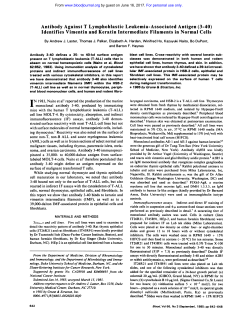 Antibody Against T Lymphoblastic Leukemia