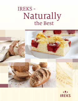 IREKS Product Catalogue