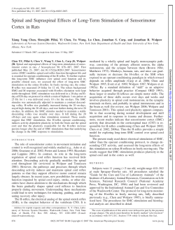 Spinal and Supraspinal Effects of Long