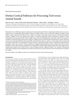 Distinct Cortical Pathways for Processing Tool versus Animal Sounds