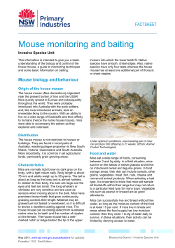 Mouse monitoring and baiting - NSW Department of Primary Industries