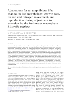 Adaptations for an amphibious life: changes in