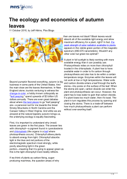 The ecology and economics of autumn leaves