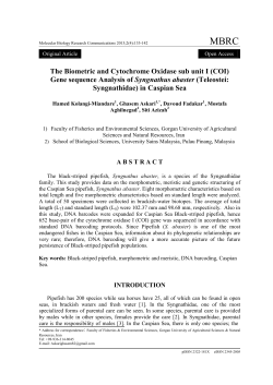 The Biometric and Cytochrome Oxidase sub unit I (COI) Gene