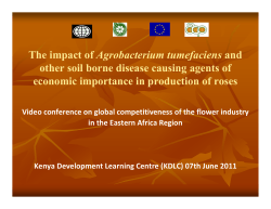 The impact of Agrobacterium tumefaciens and other soil borne
