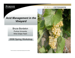 Acid Management in the Vineyard