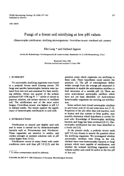 Fungi of a forest soil nitrifying at low pH values