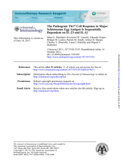 The Pathogenic Th17 Cell Response to Major Schistosome Egg