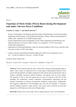 Functions of Nitric Oxide (NO) in Roots during Development and