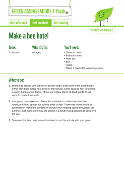 Make a bee hotel