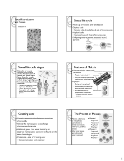 Sexual life cycle Sexual life Sexual life cycle stages cycle stages