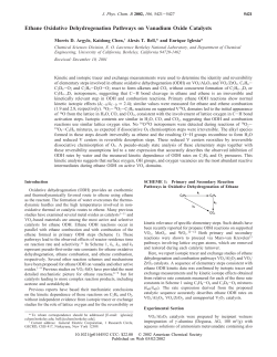 Ethane Oxidative Dehydrogenation Pathways on Vanadium Oxide