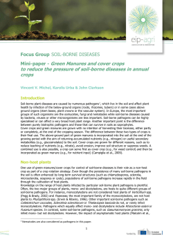 Mini-paper - Green Manures and cover crops to reduce the pressure