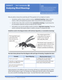 Analyzing Word Meanings