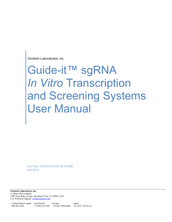 Guide-it sgRNA In Vitro Transcription and Screening