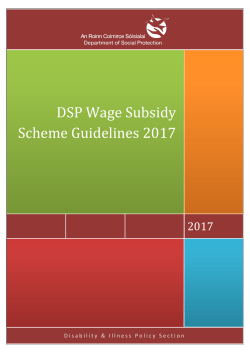 DSP Wage Subsidy Scheme Guidelines 2017