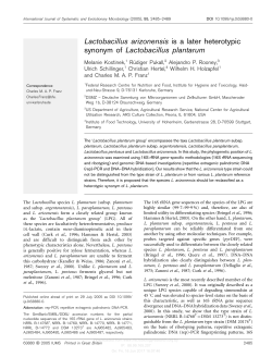 Lactobacillus arizonensis is a later heterotypic synonym of