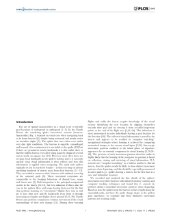 Nocturnal Homing: Learning Walks in a Wandering Spider?