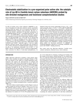 Electrostatic stabilization in a pre-organized polar active site: the