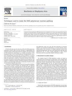 Techniques used to study the DNA polymerase reaction pathway