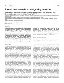 Role of the cytoskeleton in signaling networks