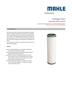 Cartridge Filters Nowata NFG Series