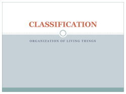 Kingdomandclassificationfinal[1]