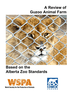 A review of Guzoo Animal Farm Based on the