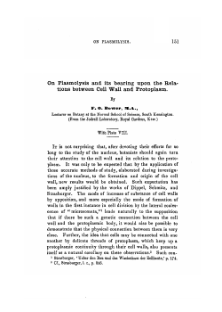 tions between Cell Wall and Protoplasm.